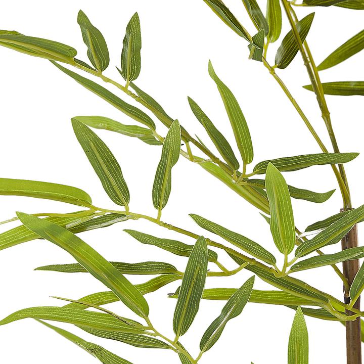 Produktbild Beliani Bambusa Vulgaris (160 cm)