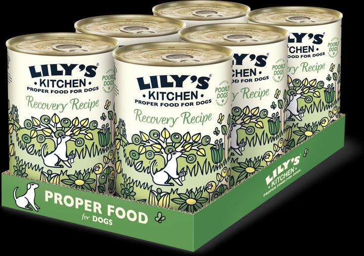 Image du produit Lily's Kitchen Recovery Recipe (Adulte, 1 pcs, 2760 g)