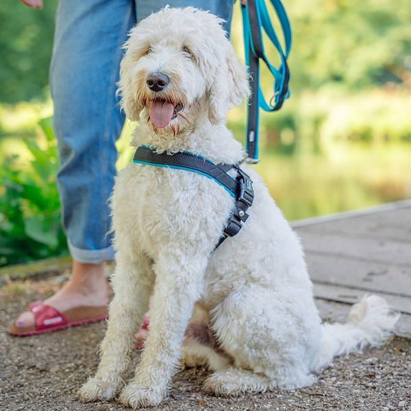Produktbild Nobby Norwegergeschirr Mesh Preno (M, L, Hund, Allgemein)