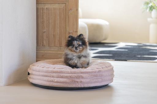 Actual product image Designed by Lotte Reza reclining cushion (Dog)