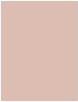 Actual product image Dr. Hauschka Foundation (03 Chestnut)