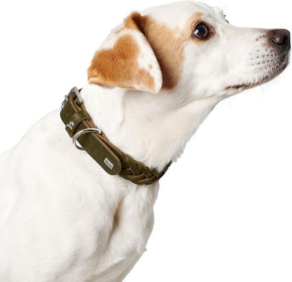 Immagine prodotto Hunter Collare Solido Educazione Speciale (35, 36, 37, 38, 39, 40, 41, 42, 43, 44, Cane)