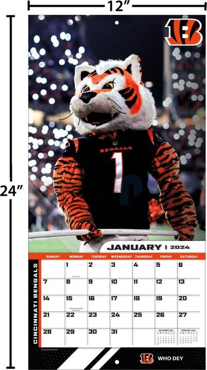 Produktbild NFL - NFL Maskottchen - 30,5 x 30,5 cm Wandkalender 2024 (Englisch, Deutsch, Französisch, Italienisch, Spanisch)