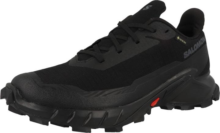 Actual product image Salomon Alphacross 5 GTX - 60355 (40 2/3)