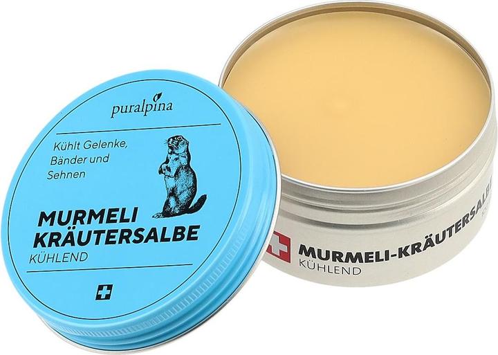 Immagine prodotto Puralpina Unguento alle erbe Murmeli (1 x, 100 ml, 110 g)