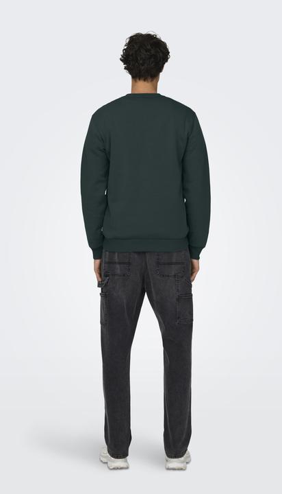 Produktbild Only & Sons Onsceres Crew Neck Noos (XXL)