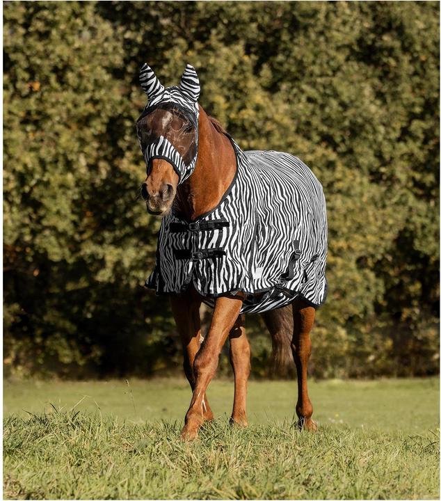 Actual product image Waldhausen Fly Blanket Zebra (155 cm)