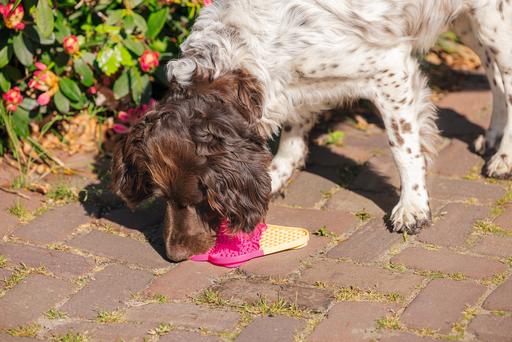 Produktbild Beeztees Leckmatte Eiscreme (Kauspielzeug Hund)
