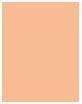 Produktbild Estée Lauder Double Wear Stay-In-Place (2N1 Desert Beige)