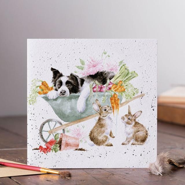 Image du produit Wrendale Design Karte - Collie SLEEPING ON THE JOB Wrendale Designs (1 pcs)