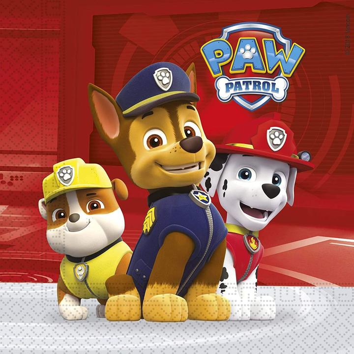 Actual product image Neutral Party set S PAW Patrol