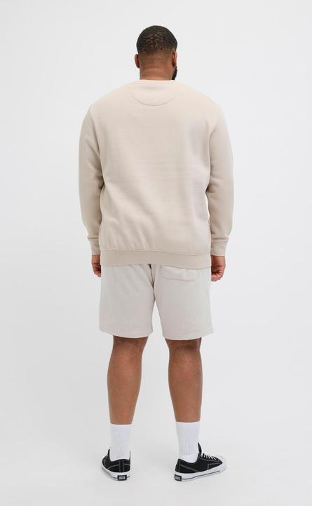 Produktbild Jack & Jones Plus Size Loose Fit Sweat-Shorts Sweat-Shorts (48)
