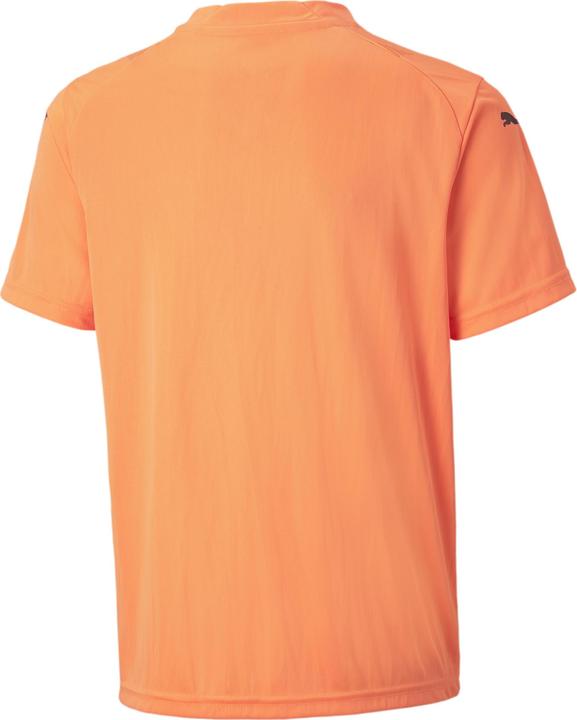 Image du produit Puma teamGLORY Jersey Jr (116)