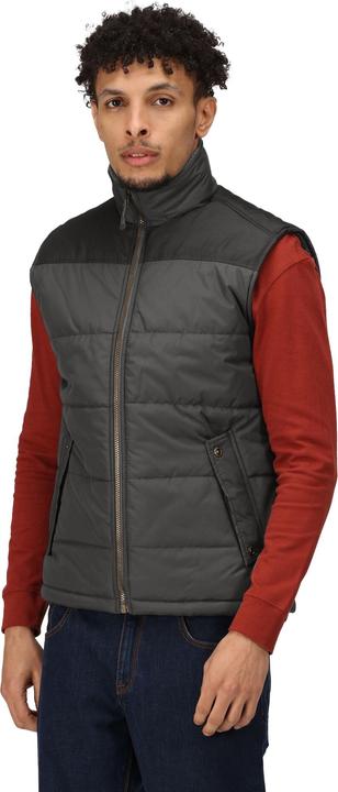 Immagine prodotto Regatta Gilet Standout Altoona isolato (M)