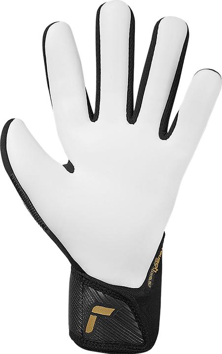 Image du produit Reusch Football Fastgrip Silver (5.5)