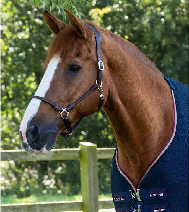 Produktbild Premier Equine Airflow Cooler (183 cm)