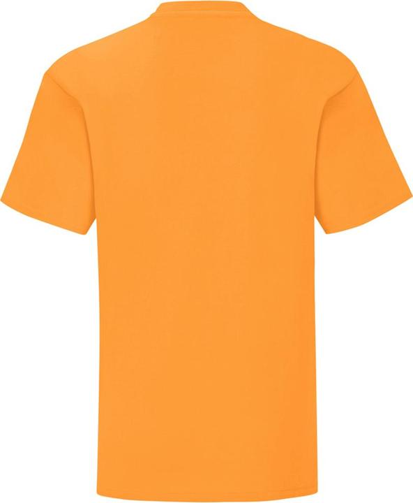 Actual product image Fruit of the Loom Childrens/Kids Iconic T-Shirt (164)