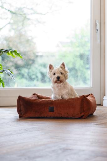 Produktbild Designed by Lotte Yndis (Hund)