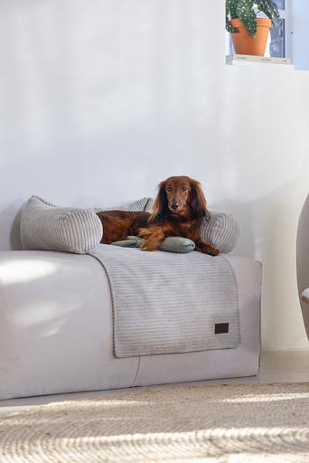 Image du produit Designed by Lotte Ribbed (Chien)