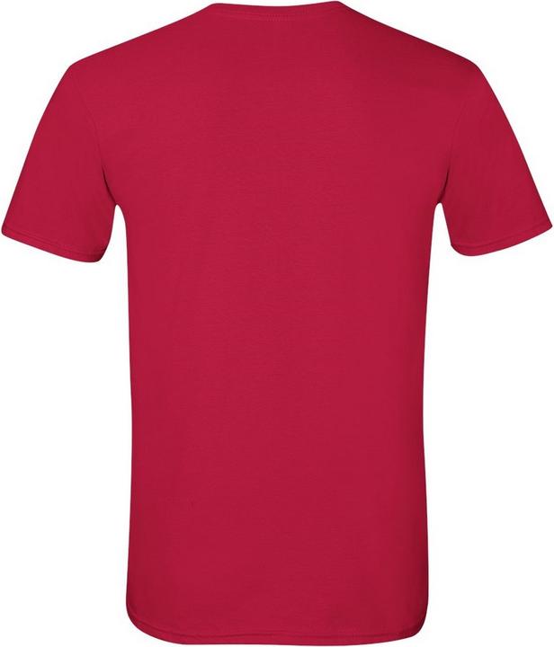Actual product image Gildan SoftStyle T-shirt short sleeve round neckline (M)