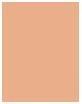 Image du produit Rimmel London Correcteur LASTING RADIANCE #050-nude (EBAE8A)