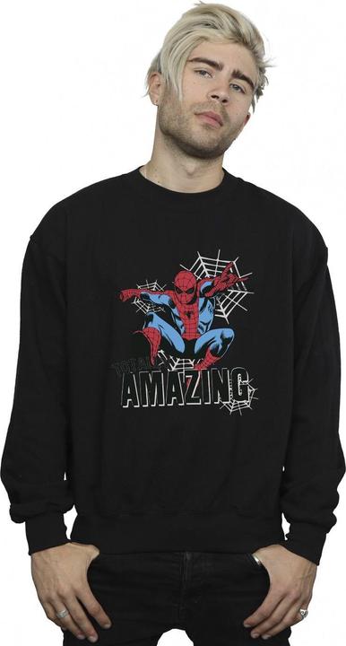 Produktbild SpiderMan Amazing Sweatshirt (L)