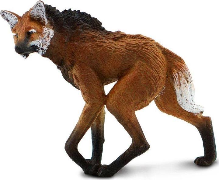 Safari Mähnenwolf