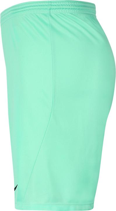 Actual product image Nike Park Iii Short (S)