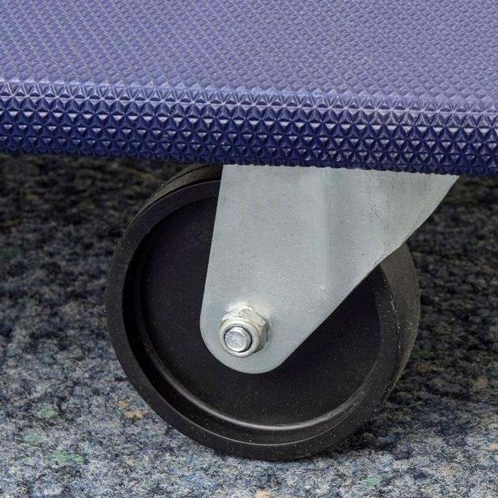 Actual product image Meister Transport roller wood load capacity (400 kg)