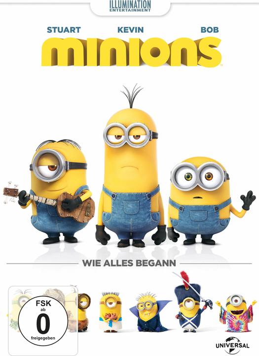 Actual product image Minions (DVD, 2015, German)
