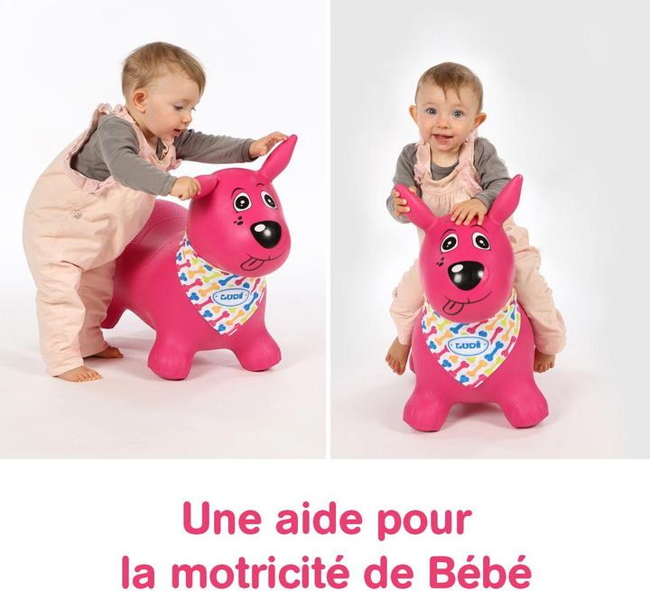 Image du produit LUDI Chien rebondissant