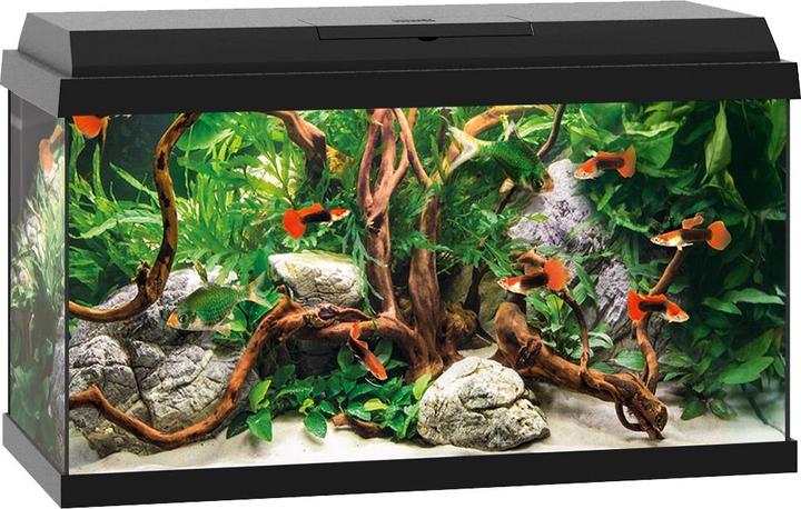 Produktbild Juwel Aquarium Primo 60 (60 l)