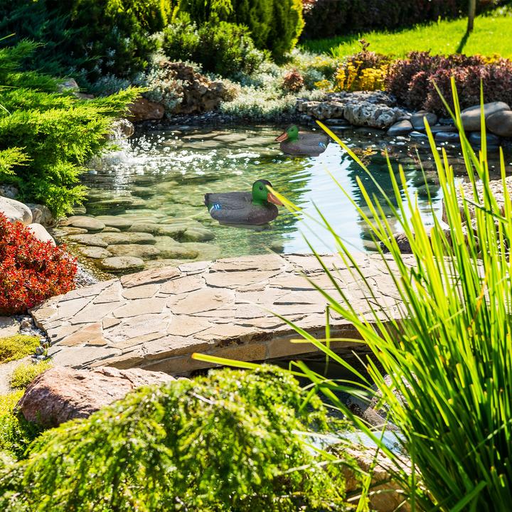 Actual product image Relaxdays Pond duck