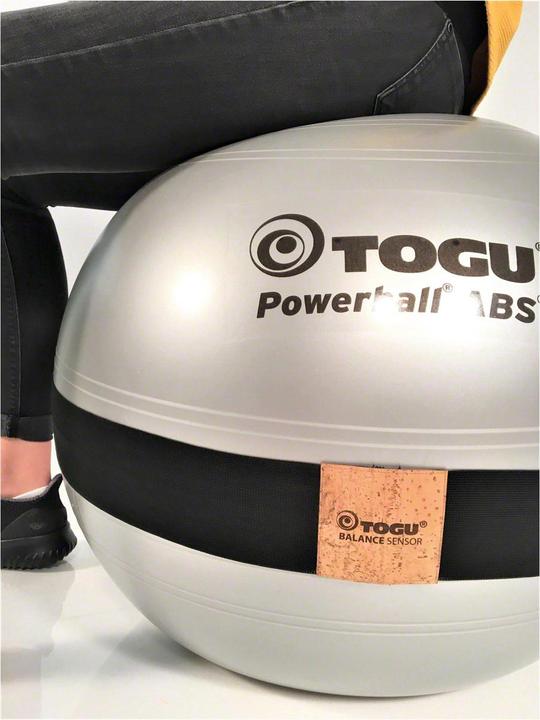 Image du produit Togu Balance Sensor Powerball, 55cm, argenté (55 cm)