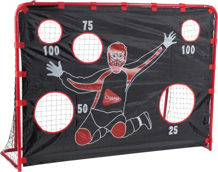 Actual product image Hudora Floorball goal with goal wall