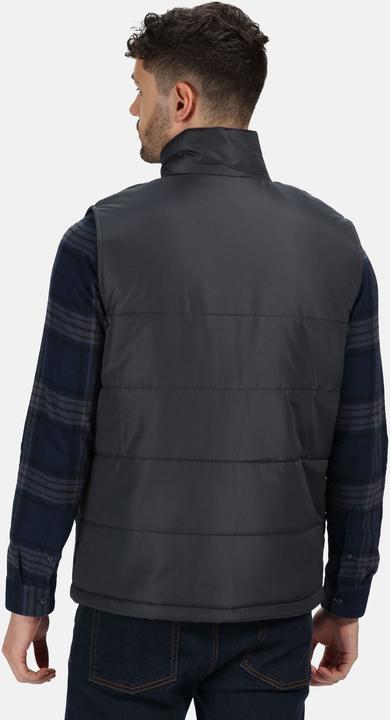 Image du produit Regatta Gilet de standout (L)