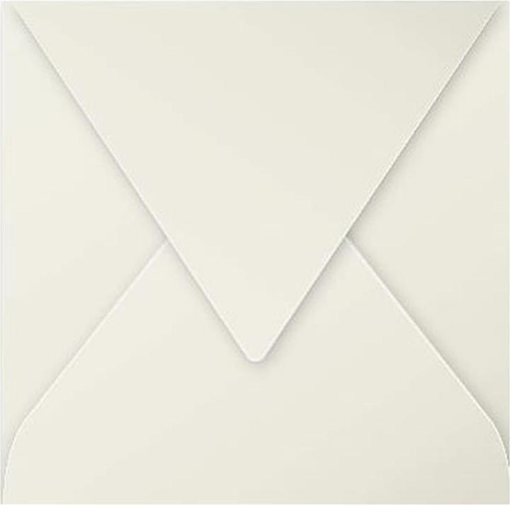 Immagine prodotto Pollen Buste di polline (140 x 140 mm, 20 x)