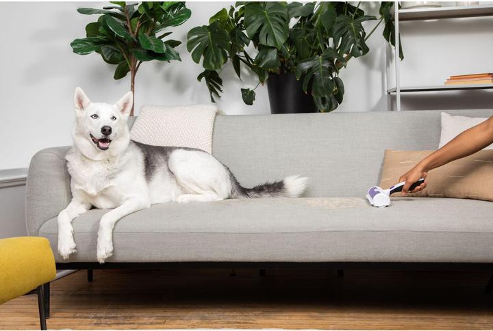 Immagine prodotto Black & Decker Rimuovi peli di animali domestici (Gatto, Cane)