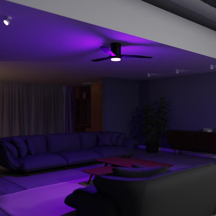 Image du produit Hombli Deckenventilator mit Licht (43 dB)