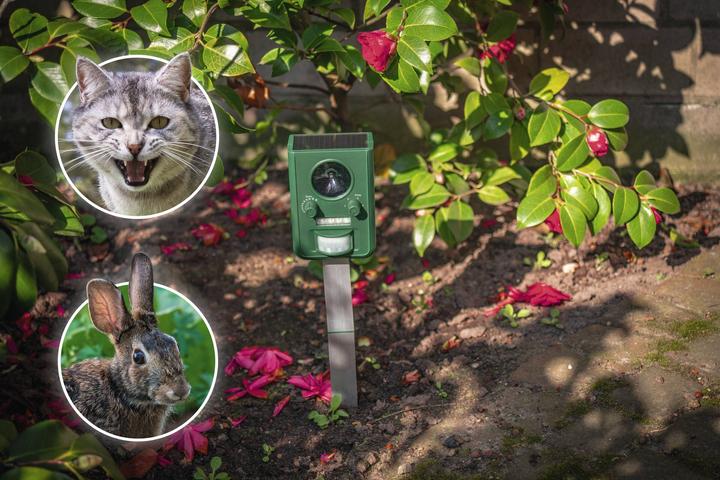 Actual product image Gardigo Solar animal distributor (55000 ml)