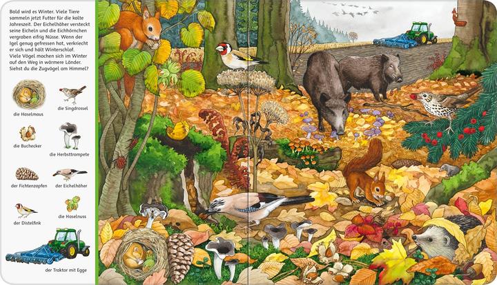 Produktbild Ravensburger Mein grosses Sachen suchen: Wald (Deutsch, Susanne Gernhäuser, 2020)