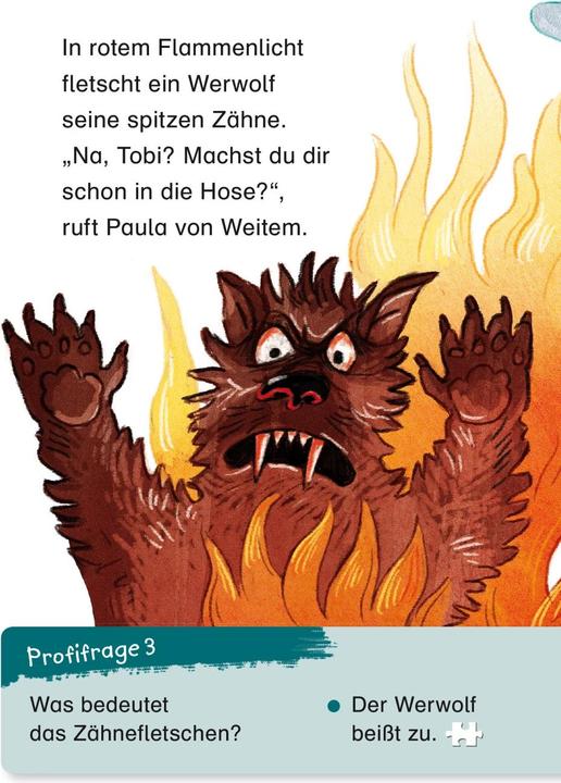 Produktbild Duden Leseprofi – Schaurige Geschichten vom Meerschweinchenvampir, 2. Klasse (Deutsch, Christine Goppel, 2019)