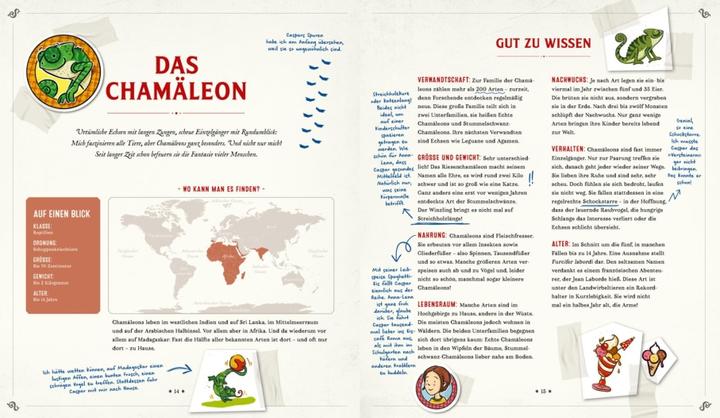 Produktbild Die Schule der magischen Tiere: Mister Morrisons gesammeltes Tierwissen (Deutsch, Martin Verg, Margit Auer, 2022)