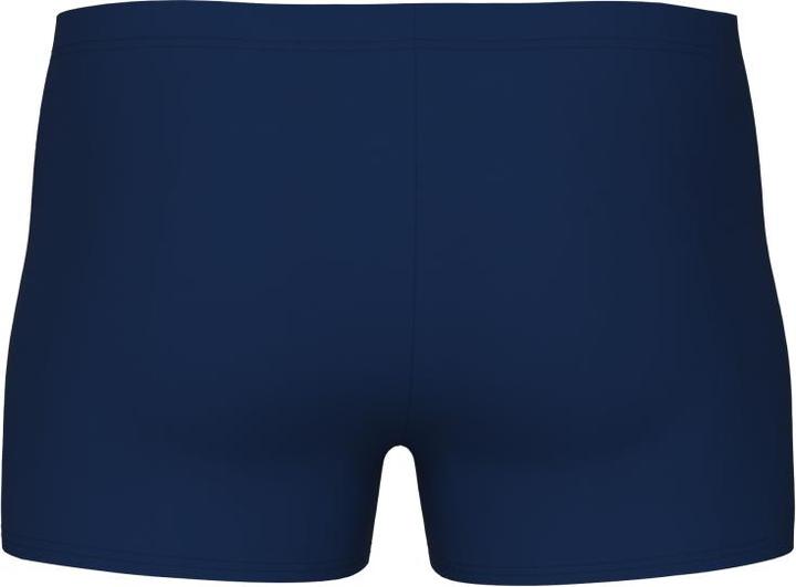 Actual product image Arena Kikko V Swim Short (4)