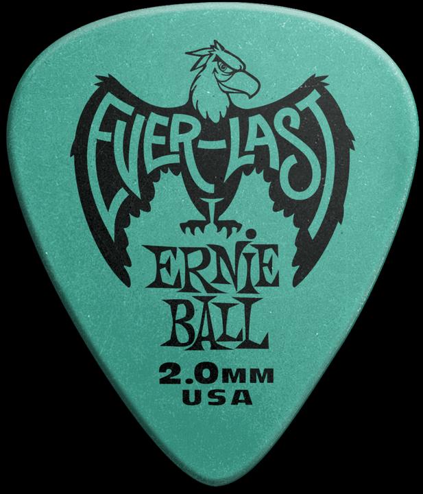 Ernie Ball Everlast (12 x, 2 mm)
