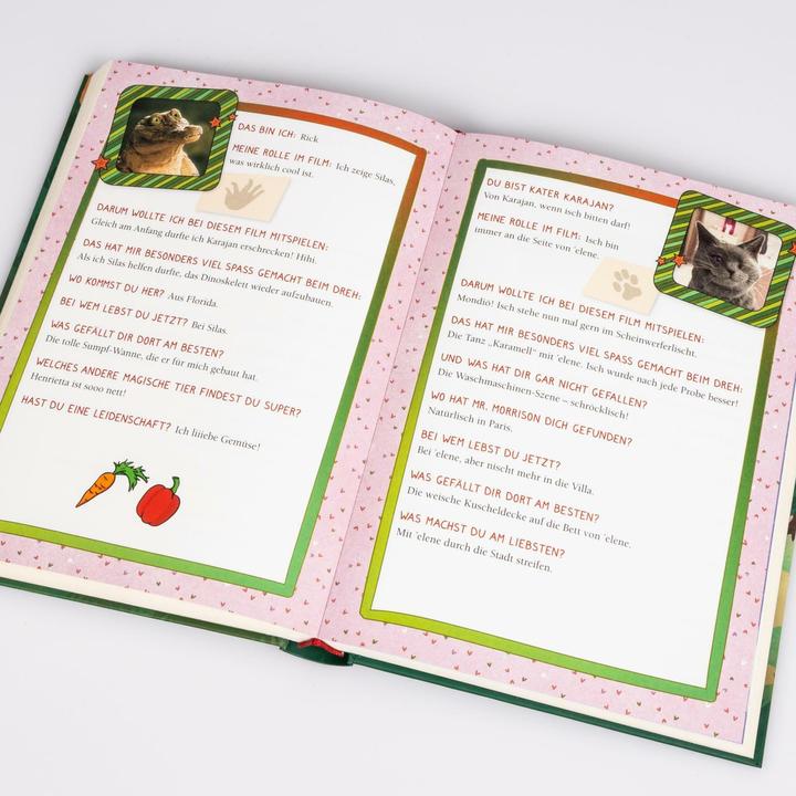 Image du produit L'école des animaux magiques 3 : le livre du film (Margit Auer, Isabelle Metzen, Allemand)
