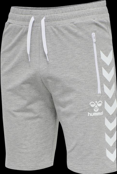 Image du produit hummel SHORTS RAY 2.0 (M)