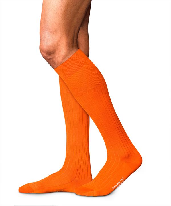 Image du produit Falke No. 2 KH (45 - 46)