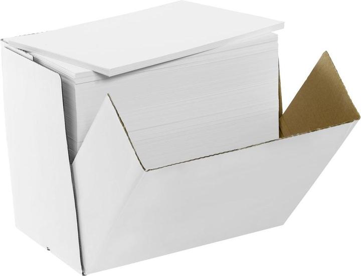 Produktbild Inapa Kopierpapier A4 weiss 80g Dynamic inapa-tecno Karton 2500 Blatt (80 g/m², 2500 x, A4)