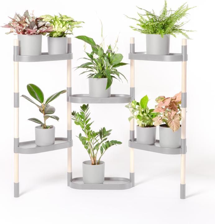 Immagine prodotto CitySens Scaffali per piante  colore grigio 6 vaschette